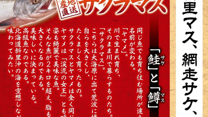 7月のおすすめは「サクラマス」