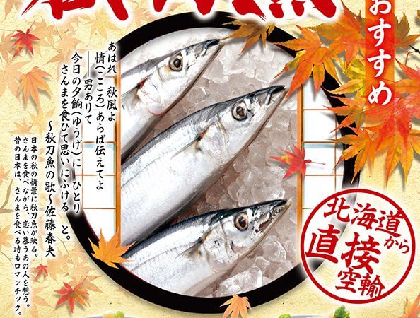 9月のおすすめは「秋刀魚」