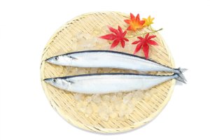 秋刀魚の噺。秋刀魚は炙りでこれからが旬！北海道の秋刀魚は今が美味しい