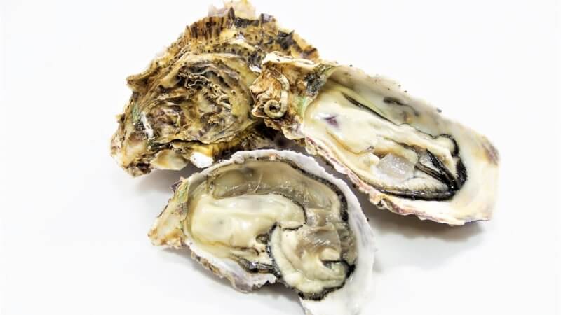 冬の牡蠣はクリーミー!牡蠣の種類や旬を知って美味しく食べよう!