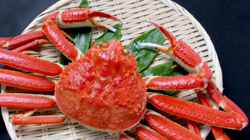 お正月におすすめの寿司はズワイガニの握り