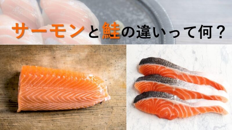 サーモンと鮭の違いって何？人気のサーモン寿司もご紹介！