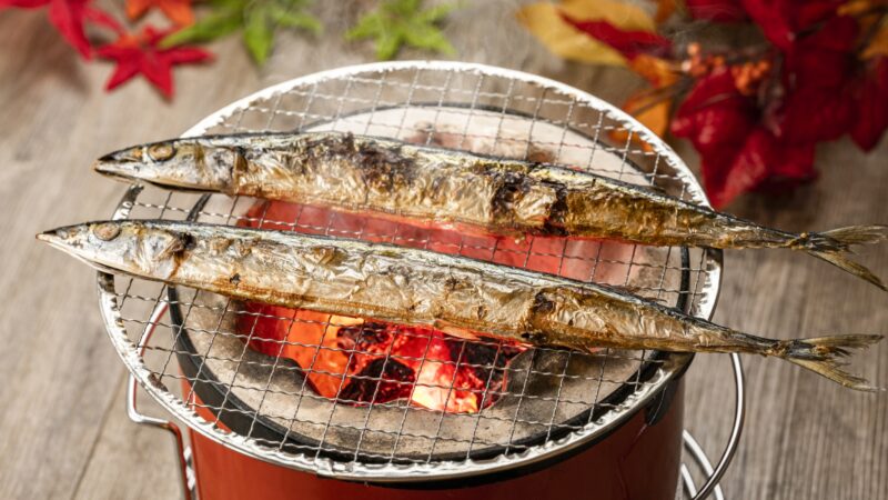 秋刀魚の噺。秋刀魚は炙りでこれからが旬！北海道の秋刀魚は今が美味しい！？