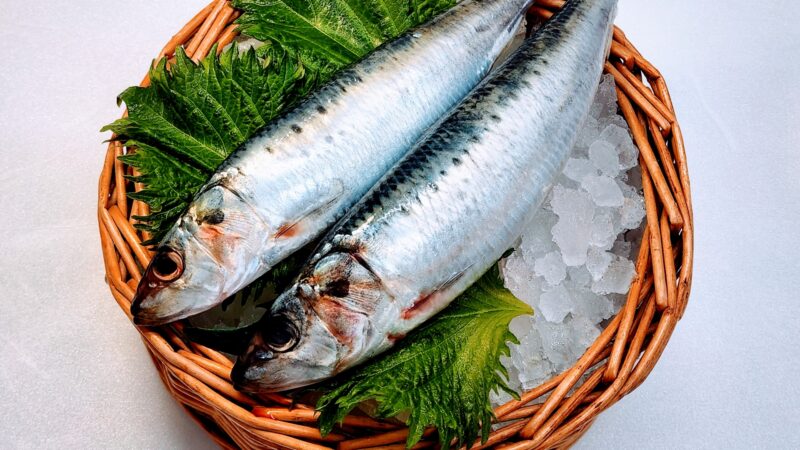 いわしの旬はいつ？種類別の時期や「入梅いわし」が絶品な理由、おすすめの美味しい食べ方まで徹底解説！