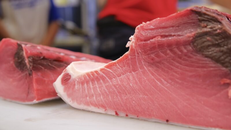 本鮪（ホンマグロ）とは？「海のダイヤ」と呼ばれる理由や、5月の初夏に味わう極上の旨味！